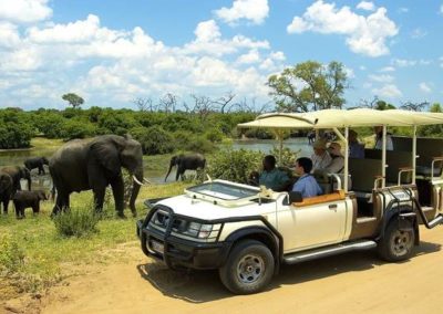 chobe-marina-lodge-game-drive-elephant-encounter-botswana-co-za_botswana