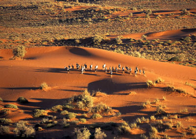 Kalahari Desert Namibia