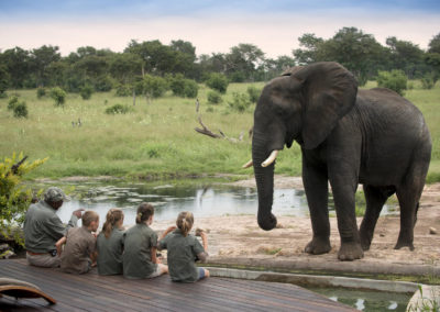 CHILDREN BRIEFING Elephant
