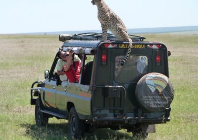 Fig-Tree-Camp-Masai-Mara-28