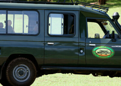 kenya-safari-drive
