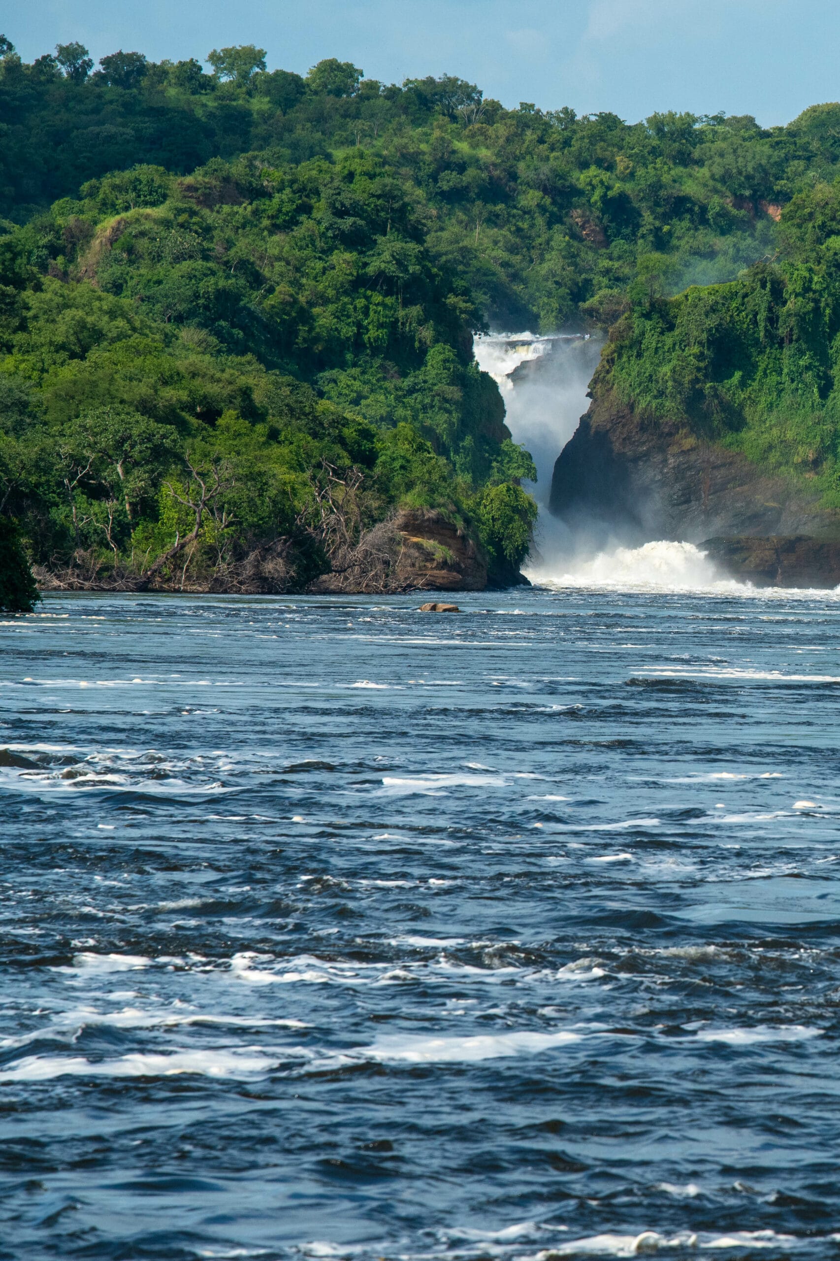 Bespoke African safaris
