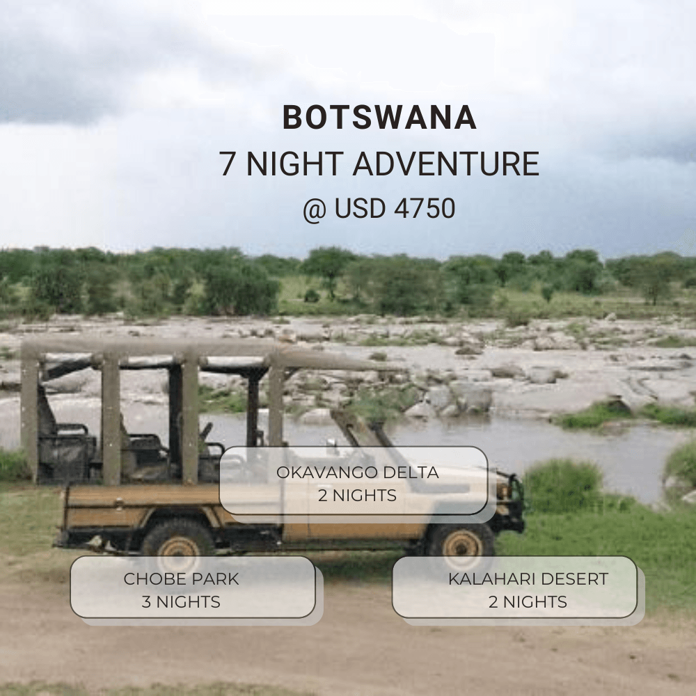 Botswana 7 Night Adventure