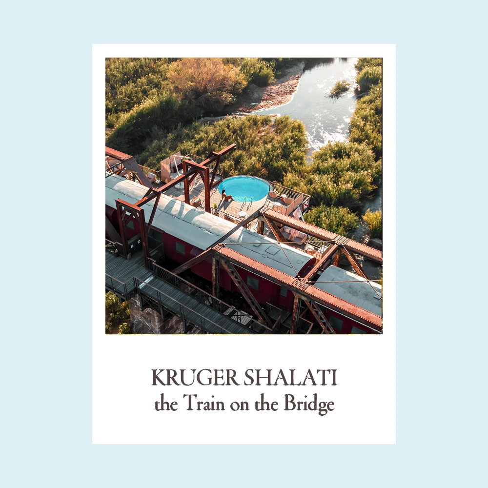 KRUGER-SHALATI