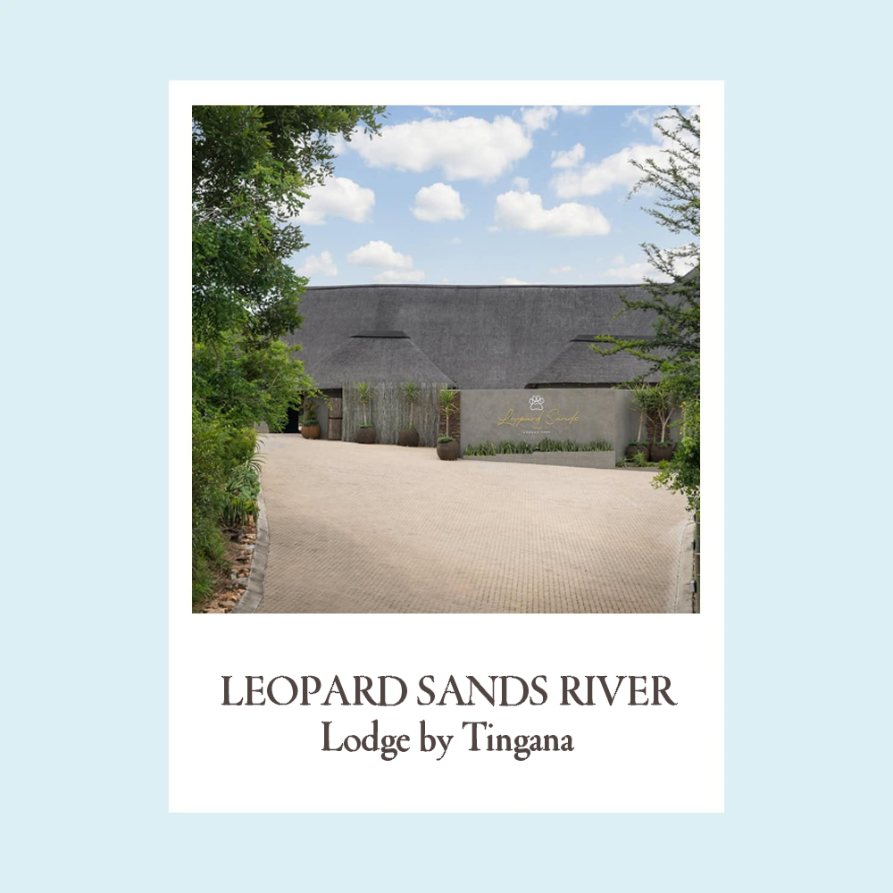 Leopard-Sands-River-Lodge-by-Tingana