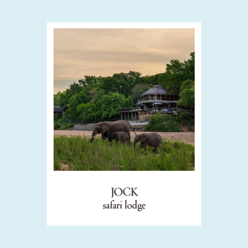 jock Safari lodge