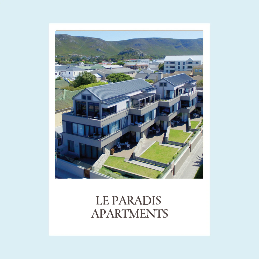 le-paradis-apartment