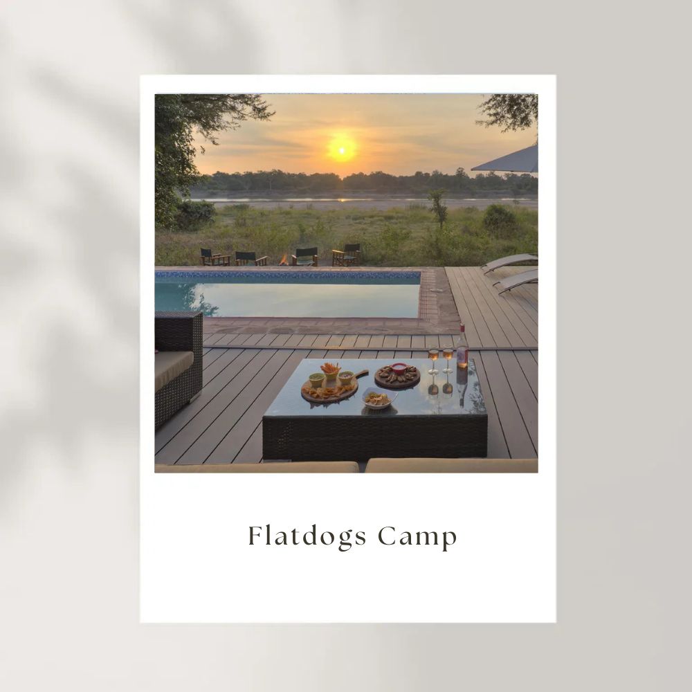 Flat-Dogs-Camp-Zambia-002