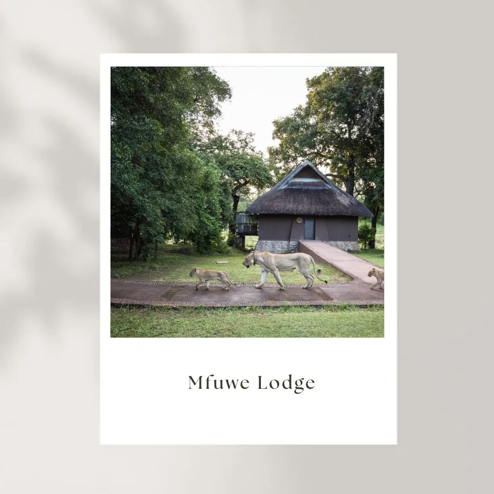 Mfuwe-Lodge-Zambia