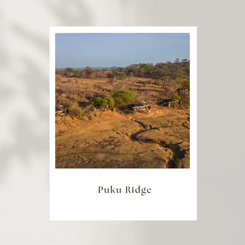 Puku-Ridge-Zambia