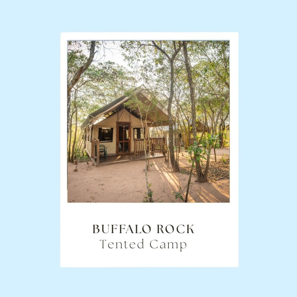 Buffalo Rock Tented Camp