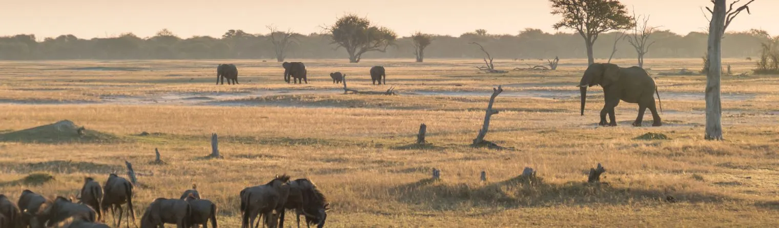 Zimbabwe-konceptAfrica-02