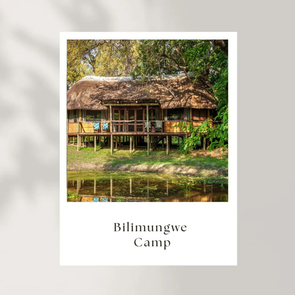 Bilimungwe Camp