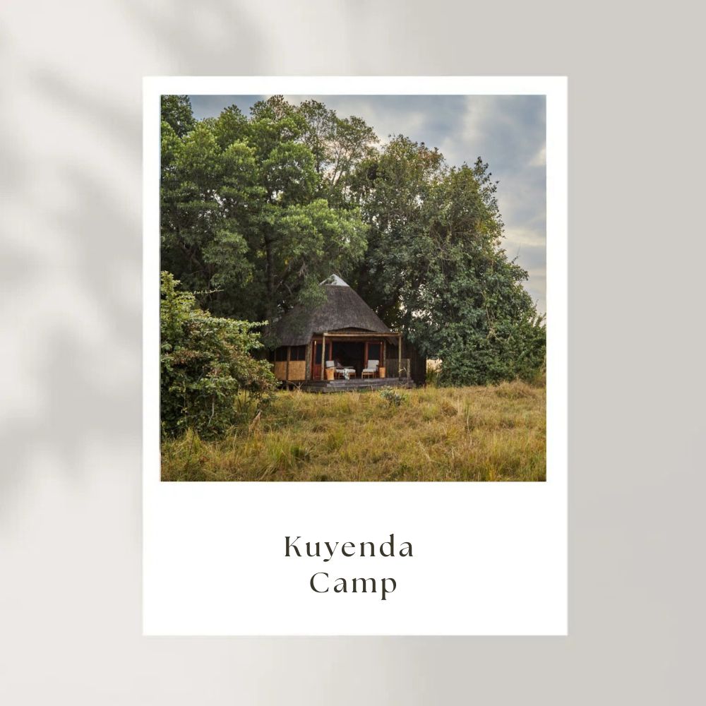 Kuyenda Camp