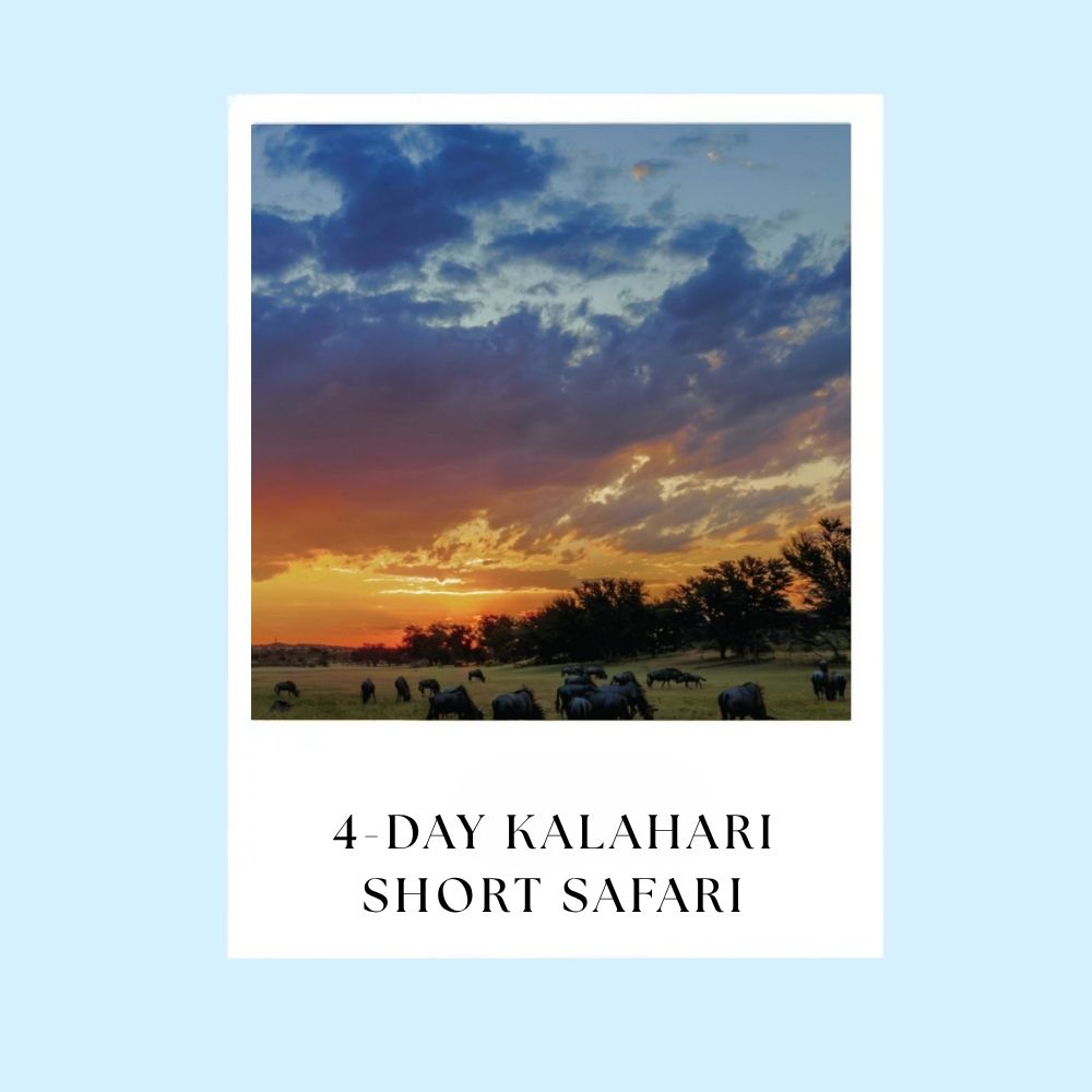 4-day Kalahari Short Safari