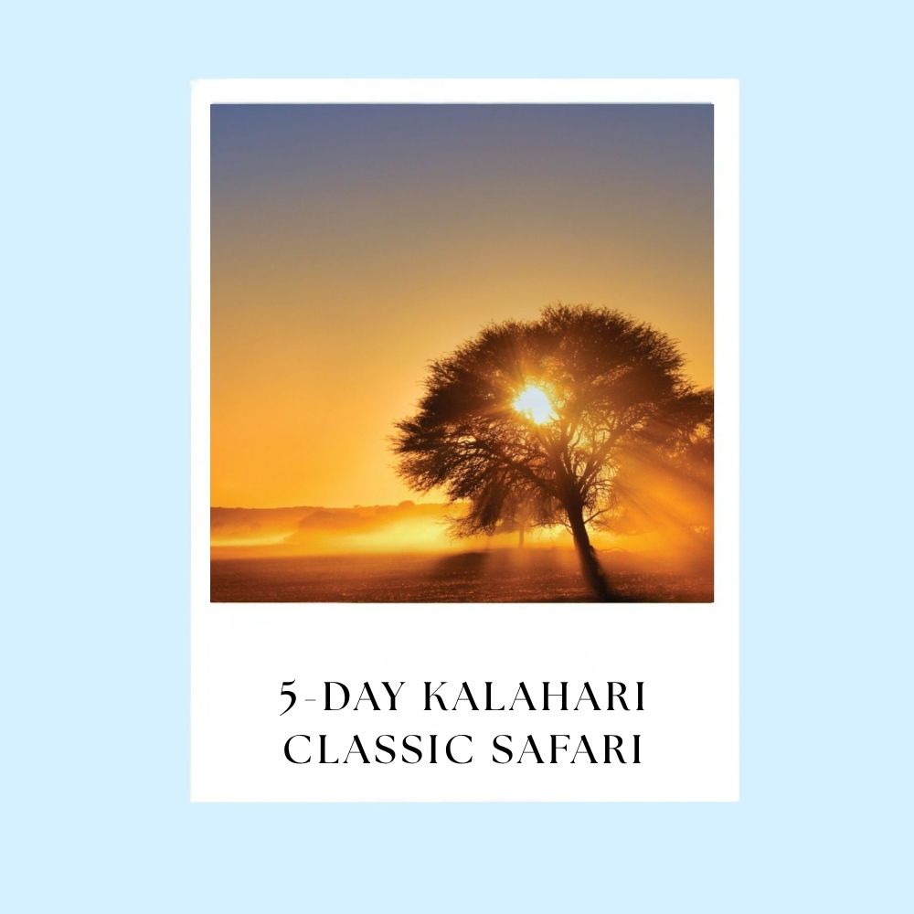 5-day Kalahari Classic Safari