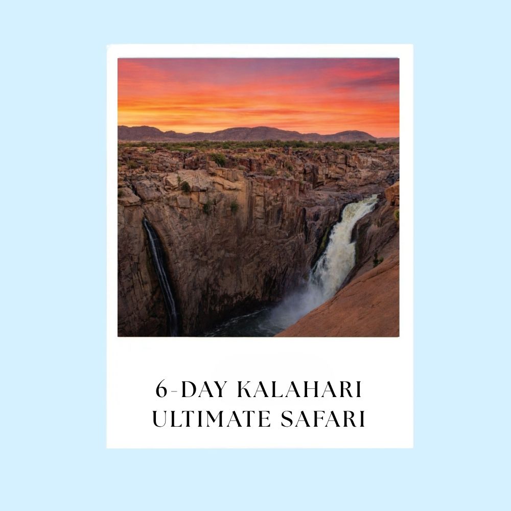 6-day Kalahari Ultimate Safari