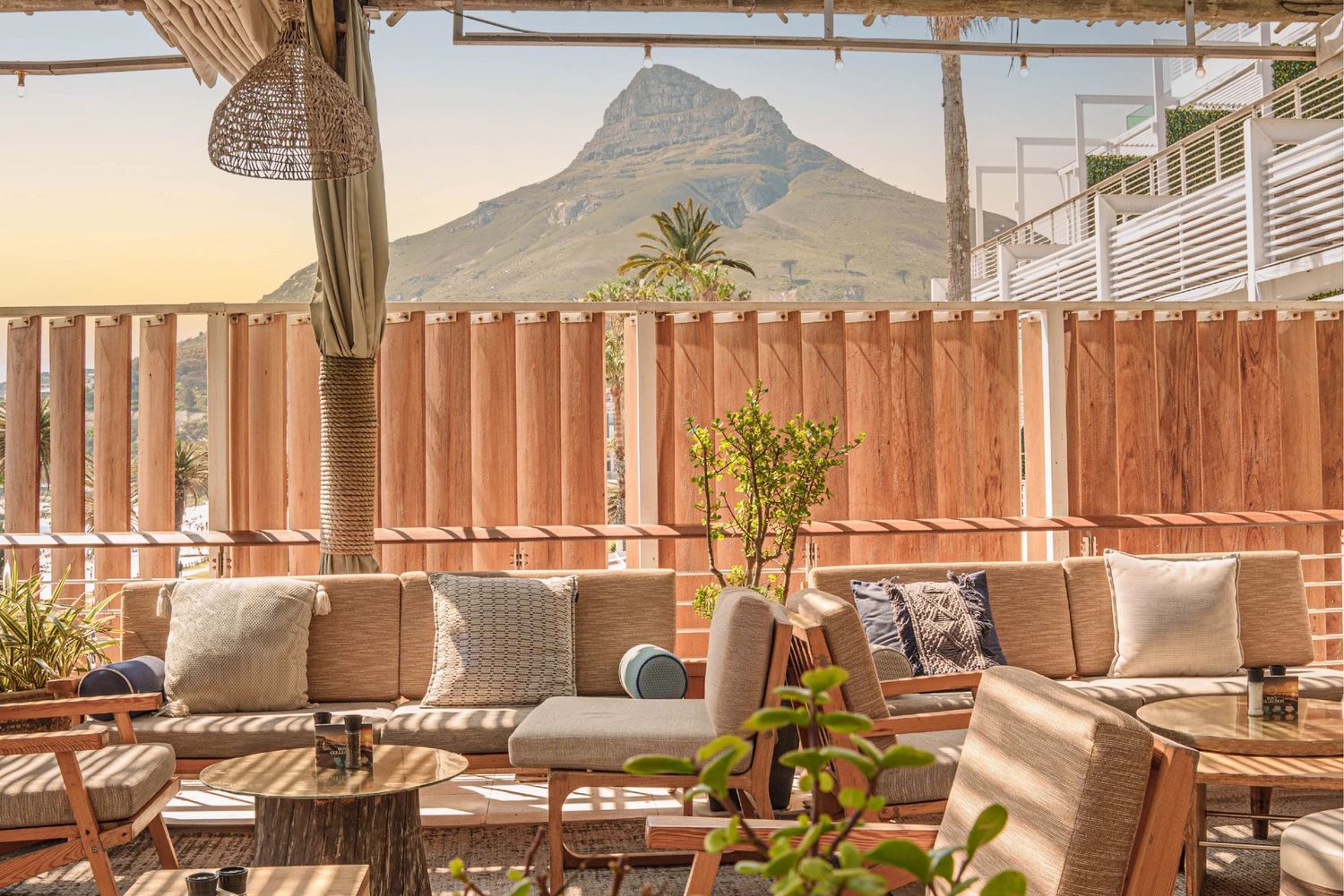 Chinchilla cape town
