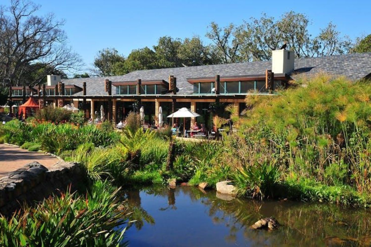 Bespoke African safaris