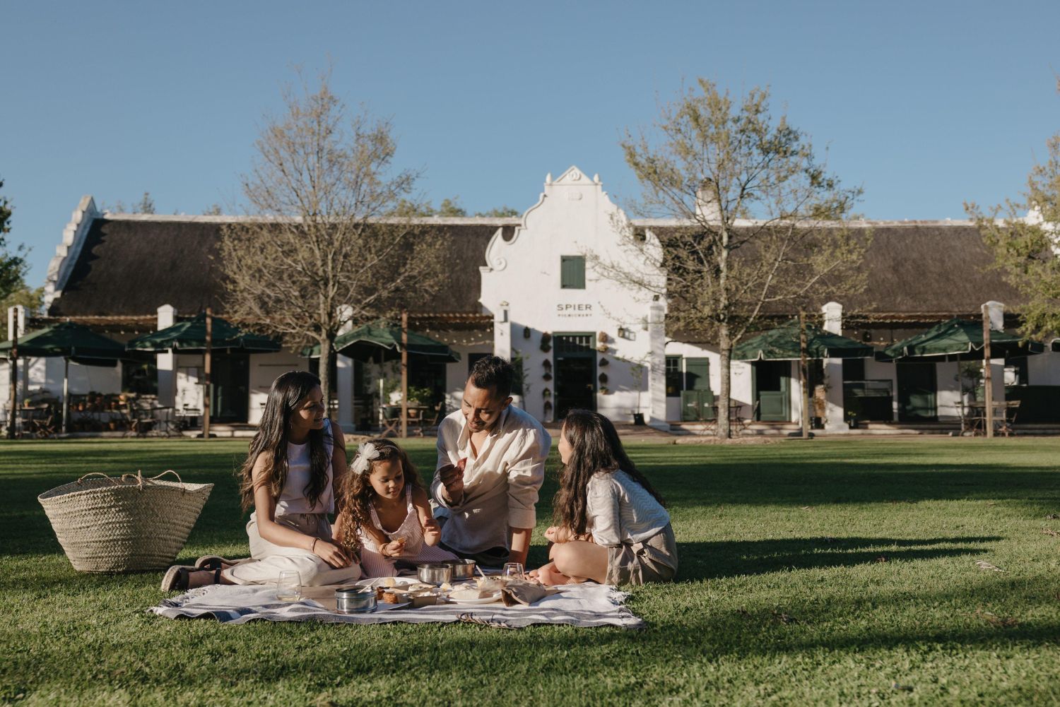 Picnics