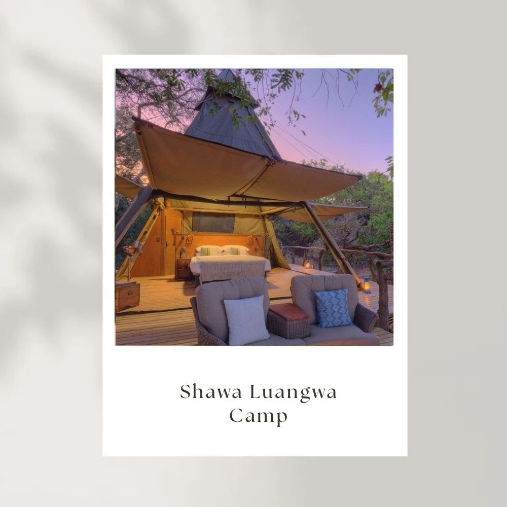 Shawa Luangwa Camp