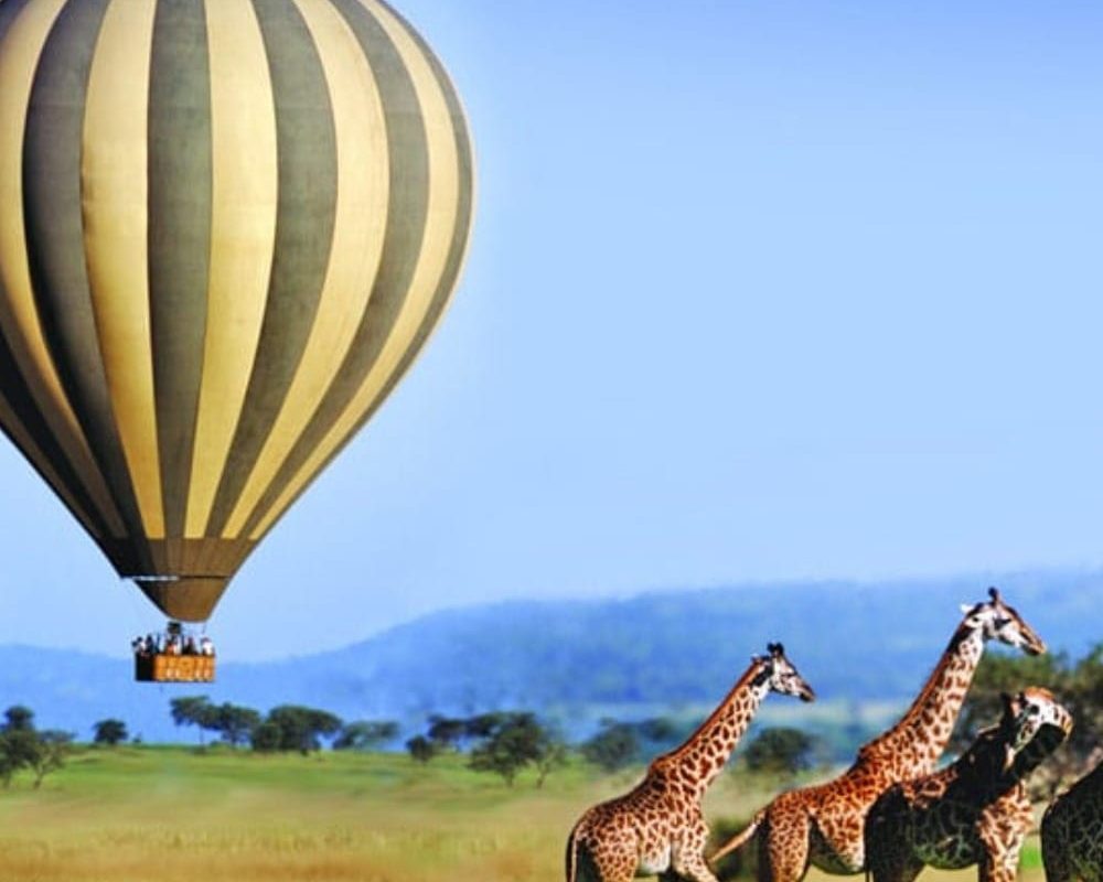 KENYA SOJOURN THUMBNAIL