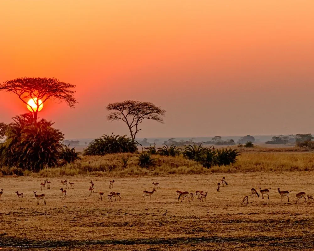 Kafue-National-Park-Zambia-01